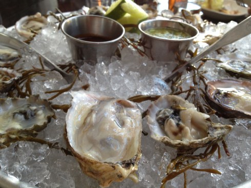 Fresh Oysters