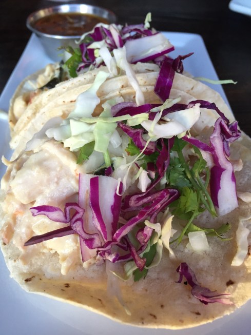 Pollo Con Crema Tacos